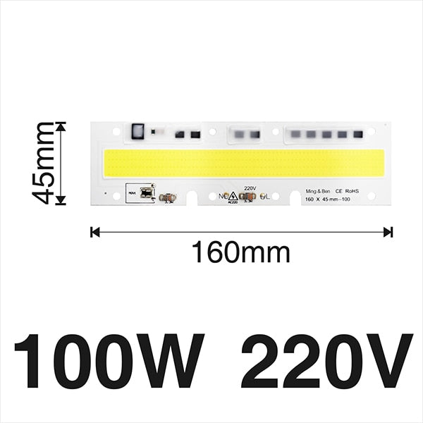 Smart IC Light LED Bright COB Bulb Lamp 30W 50W 70W 100W 150W AC220V 110V Input High Power IP65 Smart IC DIY For LED Flood Light