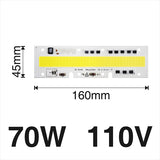 Smart IC Light LED Bright COB Bulb Lamp 30W 50W 70W 100W 150W AC220V 110V Input High Power IP65 Smart IC DIY For LED Flood Light
