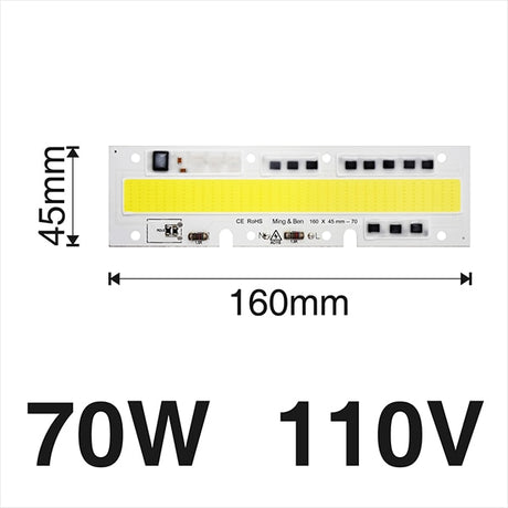 Smart IC Light LED Bright COB Bulb Lamp 30W 50W 70W 100W 150W AC220V 110V Input High Power IP65 Smart IC DIY For LED Flood Light
