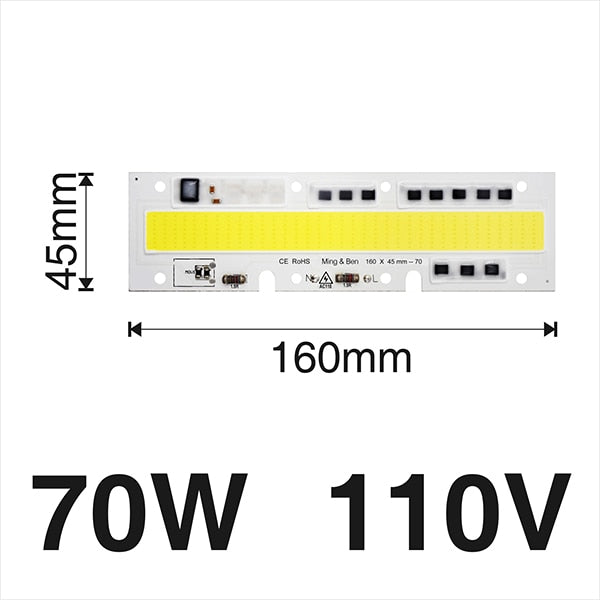 Smart IC Light LED Bright COB Bulb Lamp 30W 50W 70W 100W 150W AC220V 110V Input High Power IP65 Smart IC DIY For LED Flood Light
