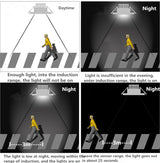 LED 3W/5W/7W Ceiling Lamp Downlights For Bathroom Stairs Balcony AC220V With Intelligent Radar Sensor Lighting