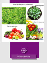 LED Spotlight Bulb GU10 MR16 E27 E14 Day Cold Warm White Grow Light 220V 240V LED COB Chip For Downlight Table Lamp Lampara