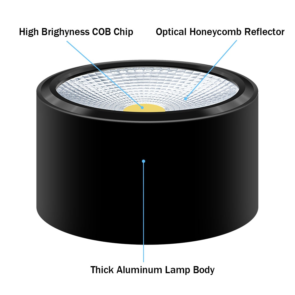 DBF Surface Mounted LED Downlights 3W 5W 7W 12W LED Ceiling Down Lamp Kitchen Bathroom Dimmable LED COB Downlights Lamp