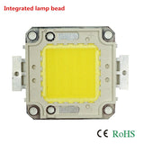 LED Chip 10W 20W 30W 50W 70W 100W 30-32V Cool White Warm White LED Beads DIY For LED Flood Light Spotlight 45*45mil High Power