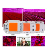  LED COB Chip For Grow Plant Light Full Spectrum Input 220V AC 20W 30W 50W For Indoor Plant Seedling Grow and Flower