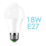 LED PIR Motion Sensor Lamp 220V 110V Dusk to Dawn Light Bulb E27 B22 IP42 with Sensor Smart light bulb 12W 18W Day Night light