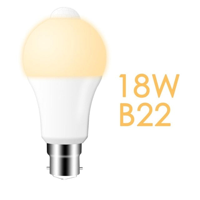 LED PIR Motion Sensor Lamp 220V 110V Dusk to Dawn Light Bulb E27 B22 IP42 with Sensor Smart light bulb 12W 18W Day Night light