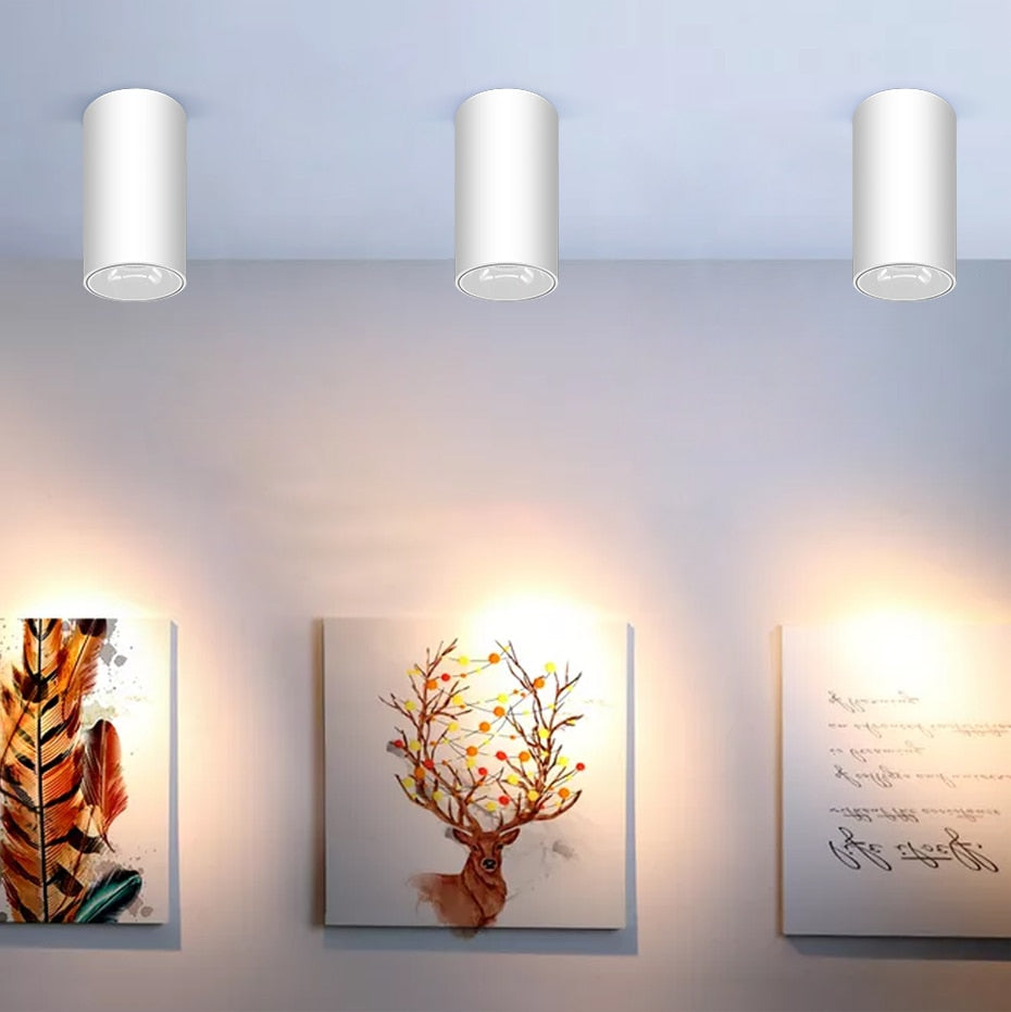 DBF Round Black/White Housing LED COB Surface Mounted Downlight 15W 20W High Reflection 3000K/4000K/6000K Ceiling Spot Lights