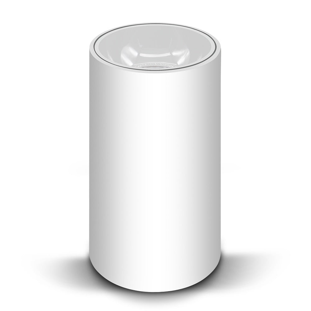 DBF Round Black/White Housing LED COB Surface Mounted Downlight 15W 20W High Reflection 3000K/4000K/6000K Ceiling Spot Lights