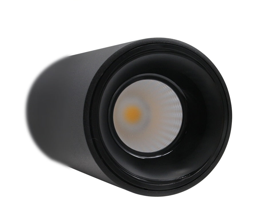 DBF Round Black/White Housing LED COB Surface Mounted Downlight 15W 20W High Reflection 3000K/4000K/6000K Ceiling Spot Lights
