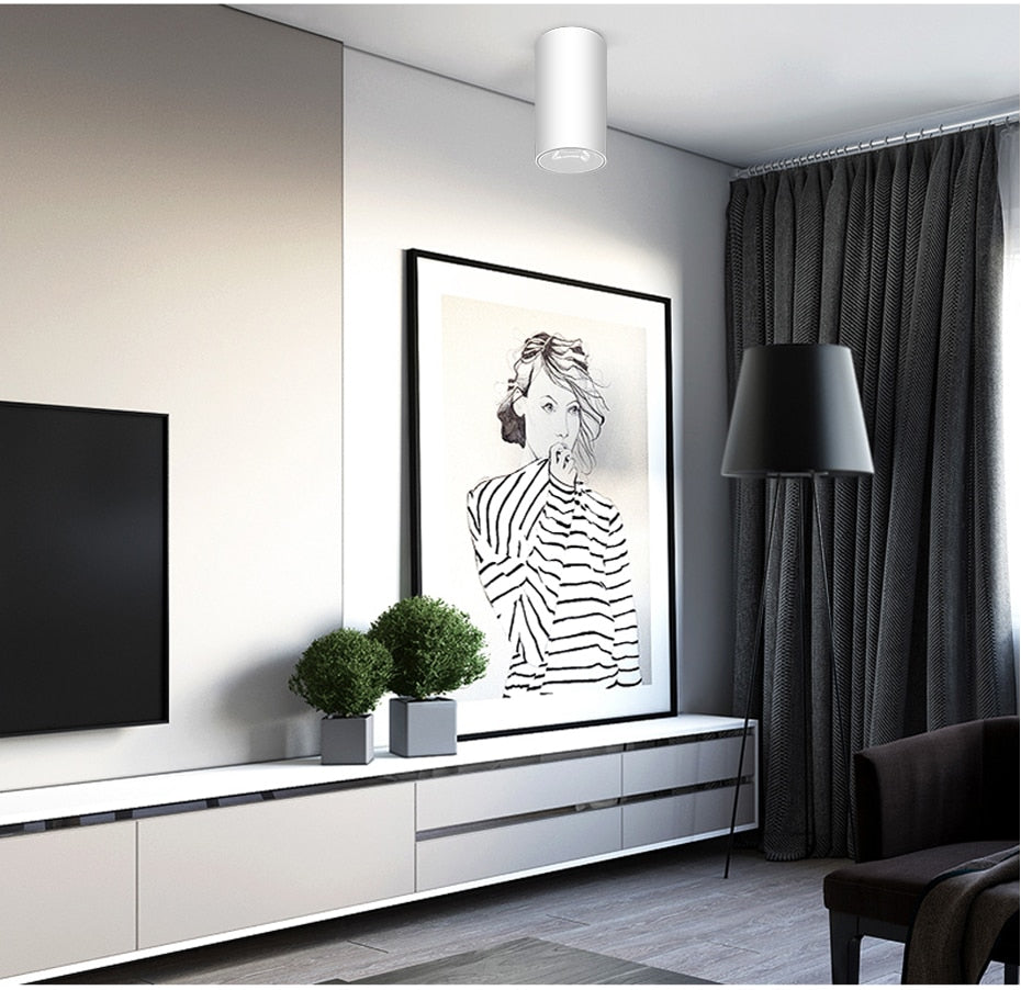 DBF Round Black/White Housing LED COB Surface Mounted Downlight 15W 20W High Reflection 3000K/4000K/6000K Ceiling Spot Lights