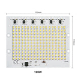 Smart IC 2835SMD LED Chips Lamp 10W 20W 30W 50W 100W AC 220V-240V DIY For Outdoor Floodlight Garden Cold White Warm White
