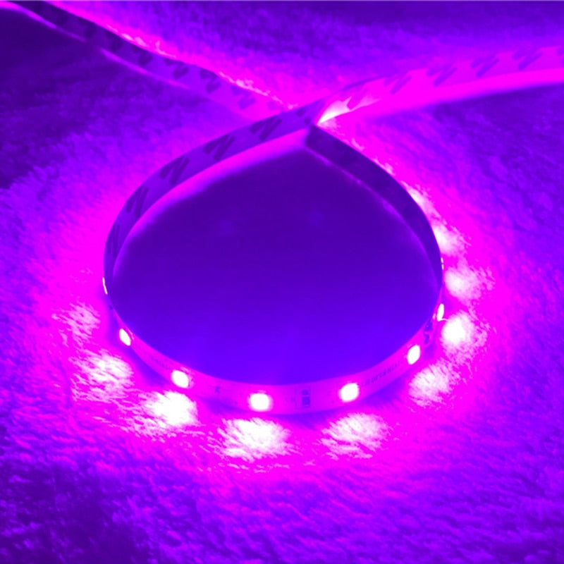 Pink LED Strip light  IP65 Waterproof 3528 SMD 60LED/M 5M flexible LED rope bar light DC12V Led decoration tape