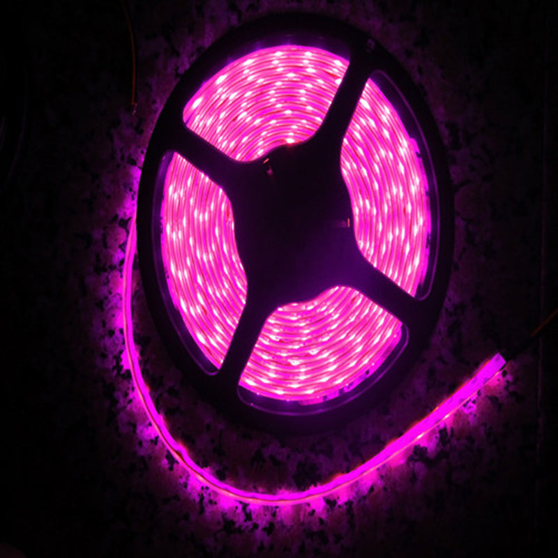 Pink LED Strip light  IP65 Waterproof 3528 SMD 60LED/M 5M flexible LED rope bar light DC12V Led decoration tape