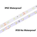 DC 12V RGB LED Strip Light  SMD 2835 RGB Waterproof 1 - 5 M 12 V  60LED/M RGB Led Strip Tape Lamp Diode Flexible TV Backlight