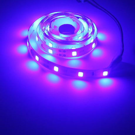 3m 5m individually addressable RGB led strip neon light 2835 LED ribbon Flexible tape auto adapter 12v dc connectors  for kitchen